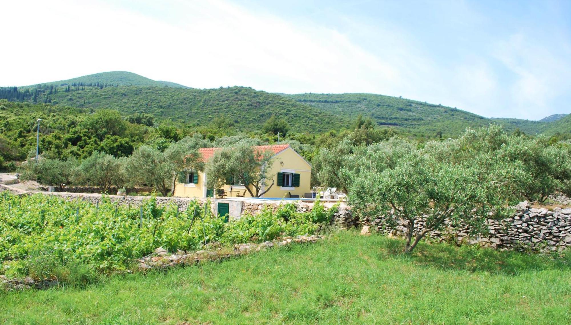 הוילה Račišće Vineyard House & Olive Grove House מראה חיצוני תמונה