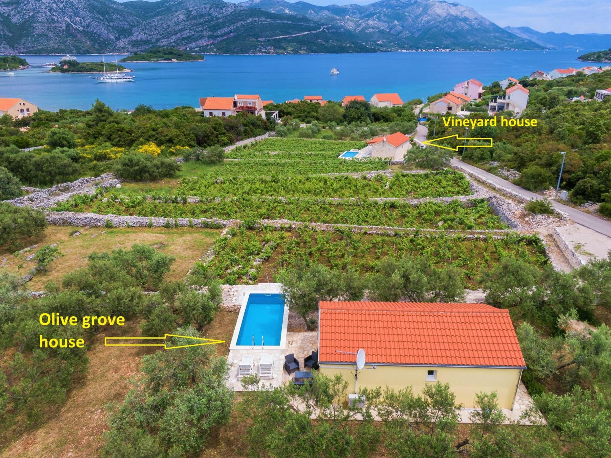 הוילה Račišće Vineyard House & Olive Grove House מראה חיצוני תמונה