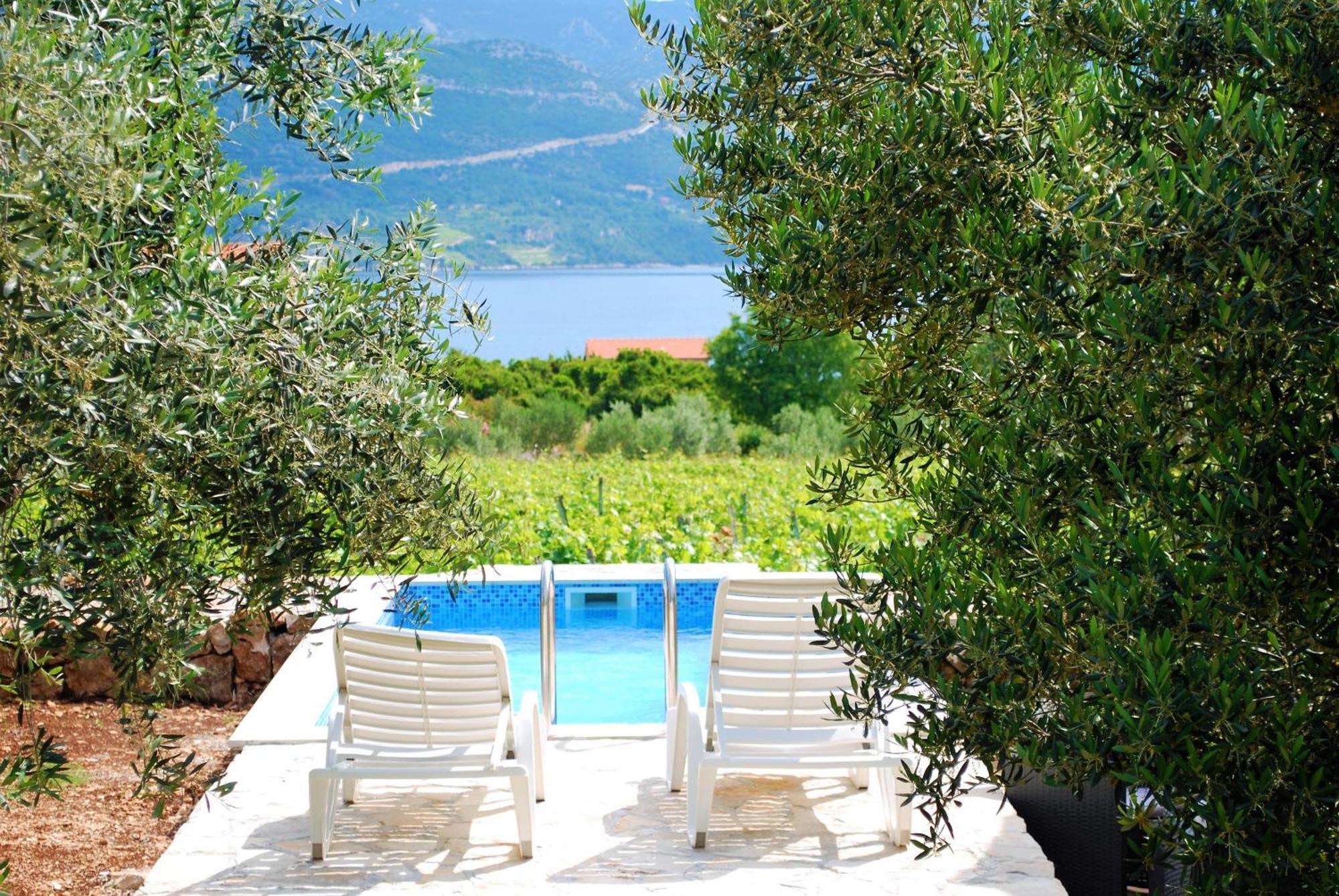 הוילה Račišće Vineyard House & Olive Grove House מראה חיצוני תמונה