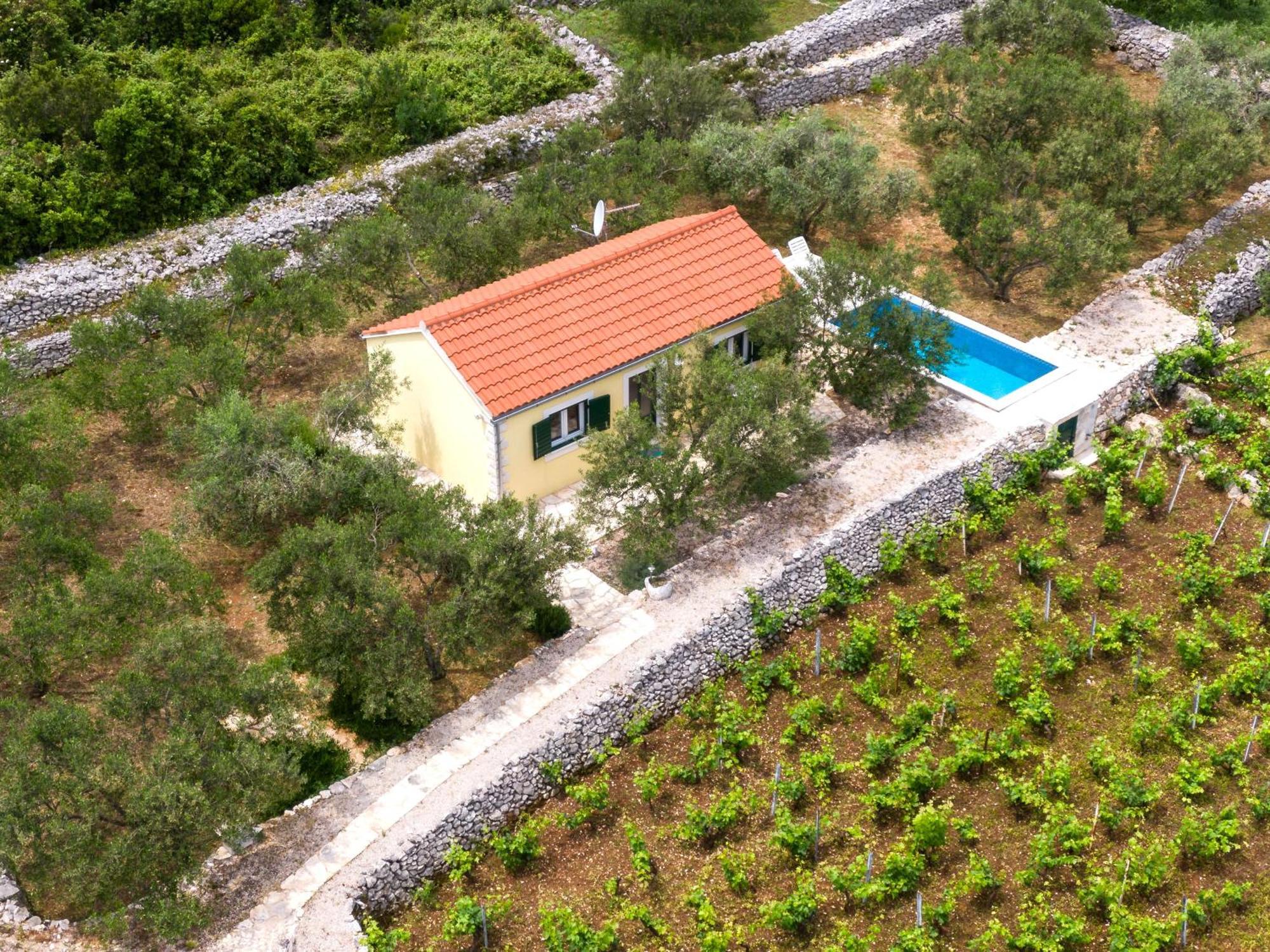 הוילה Račišće Vineyard House & Olive Grove House מראה חיצוני תמונה
