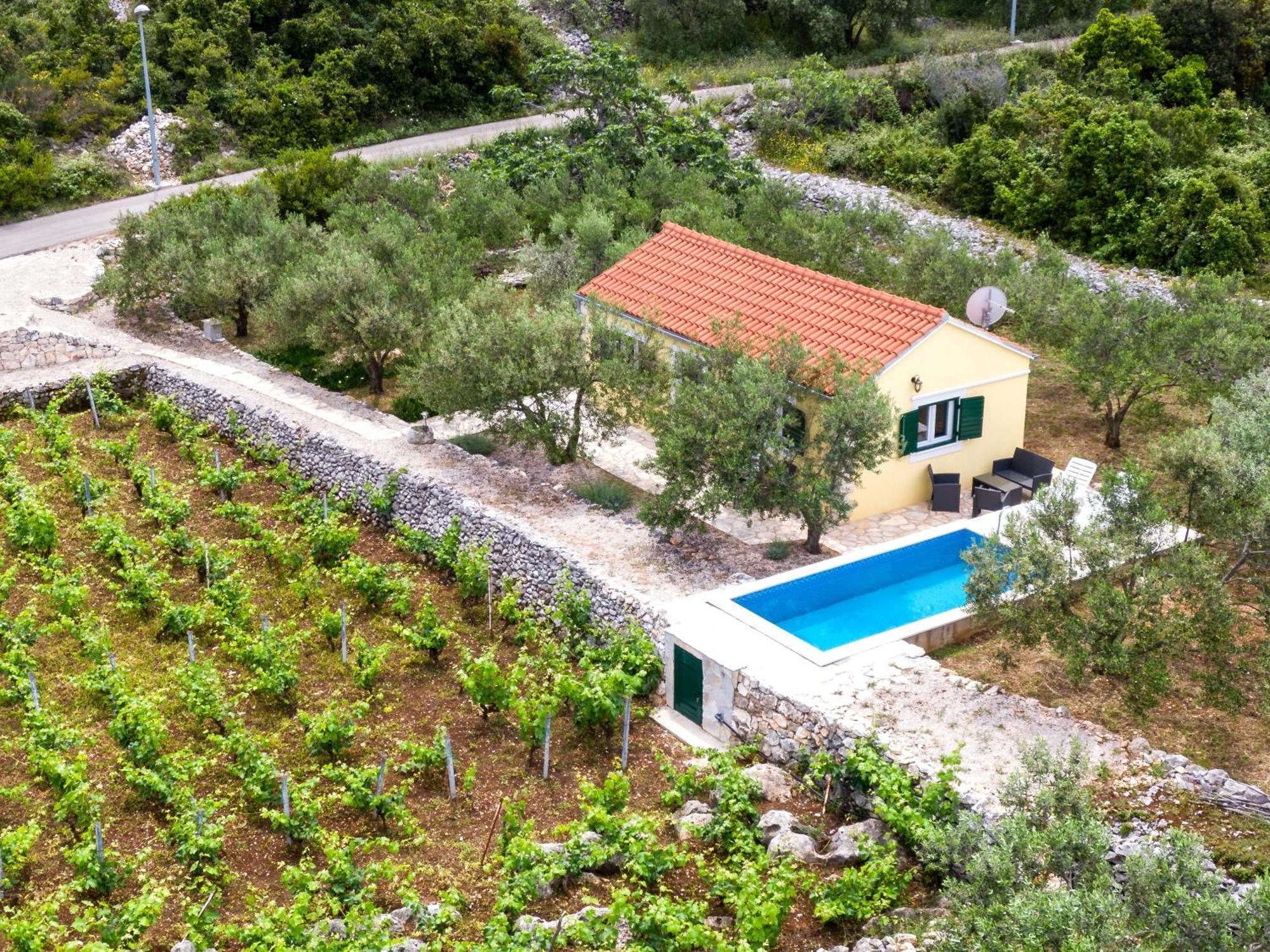 הוילה Račišće Vineyard House & Olive Grove House מראה חיצוני תמונה