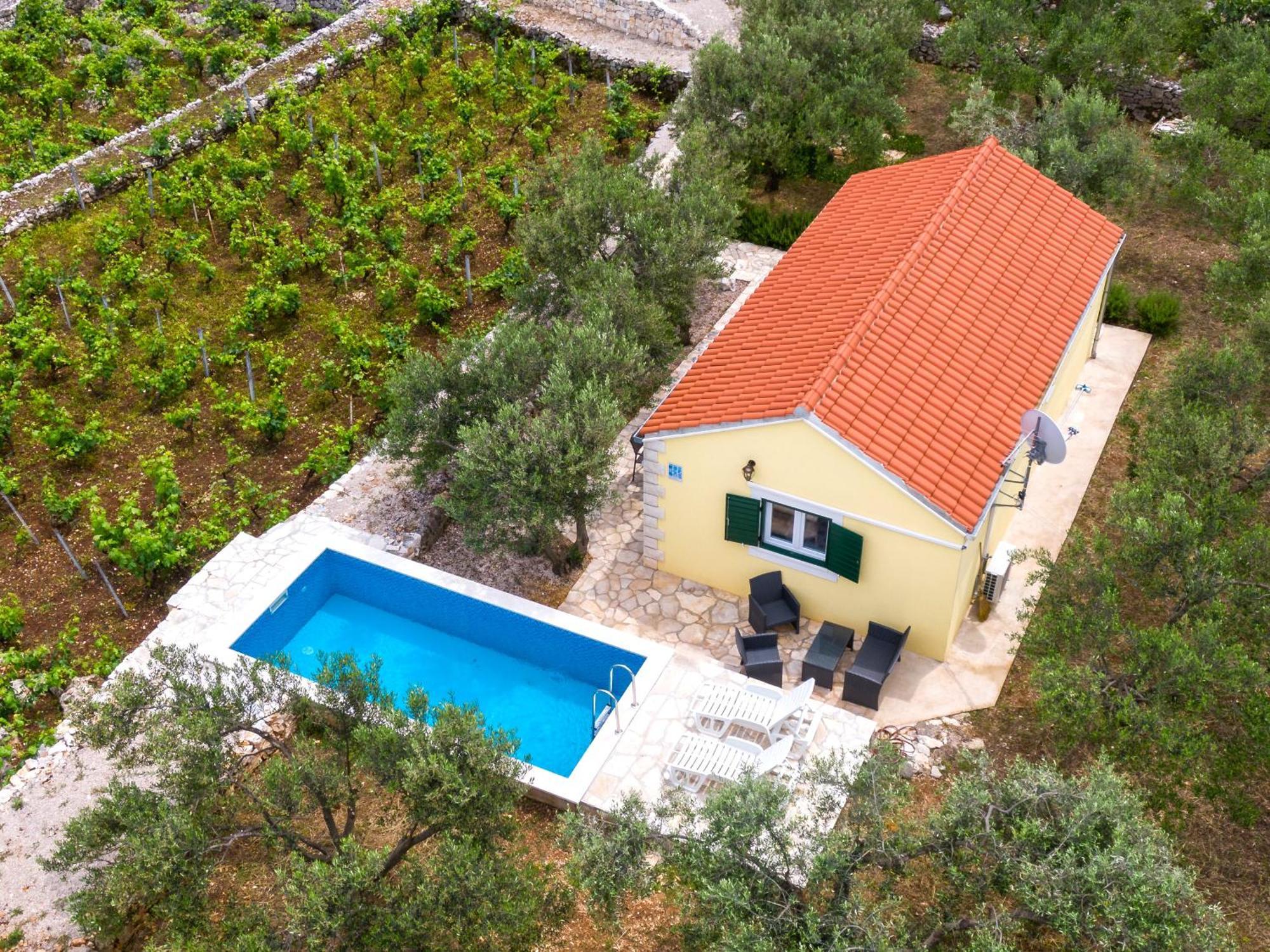 הוילה Račišće Vineyard House & Olive Grove House מראה חיצוני תמונה