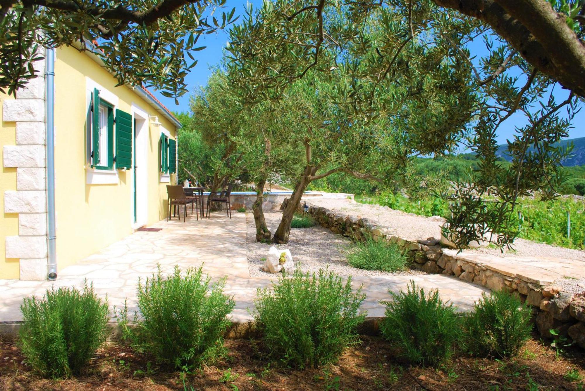 הוילה Račišće Vineyard House & Olive Grove House מראה חיצוני תמונה