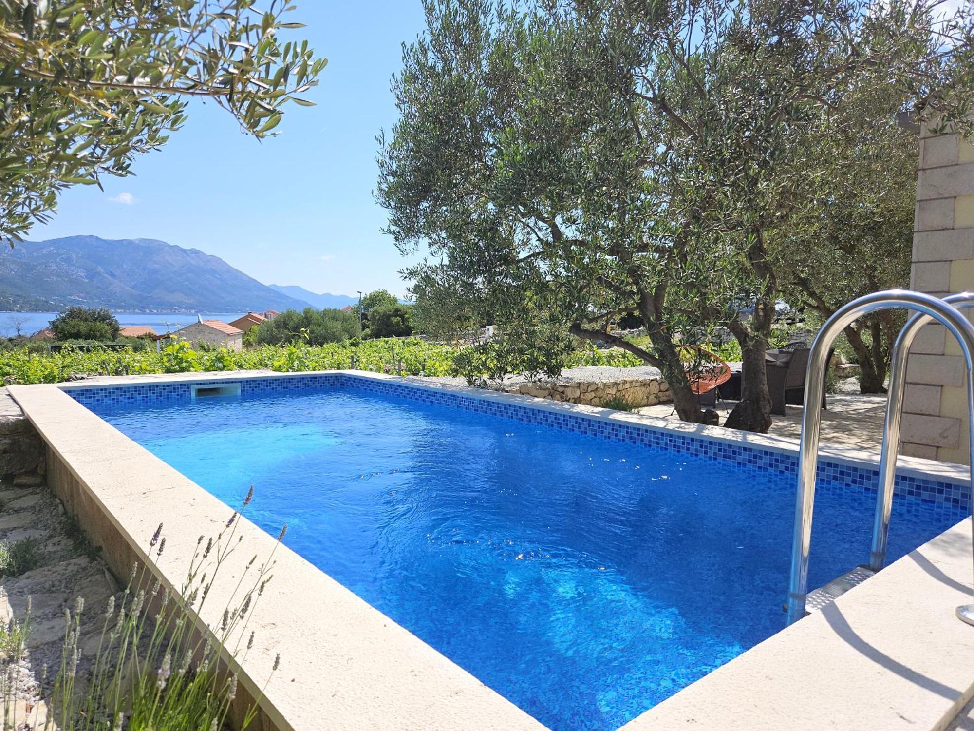 הוילה Račišće Vineyard House & Olive Grove House מראה חיצוני תמונה