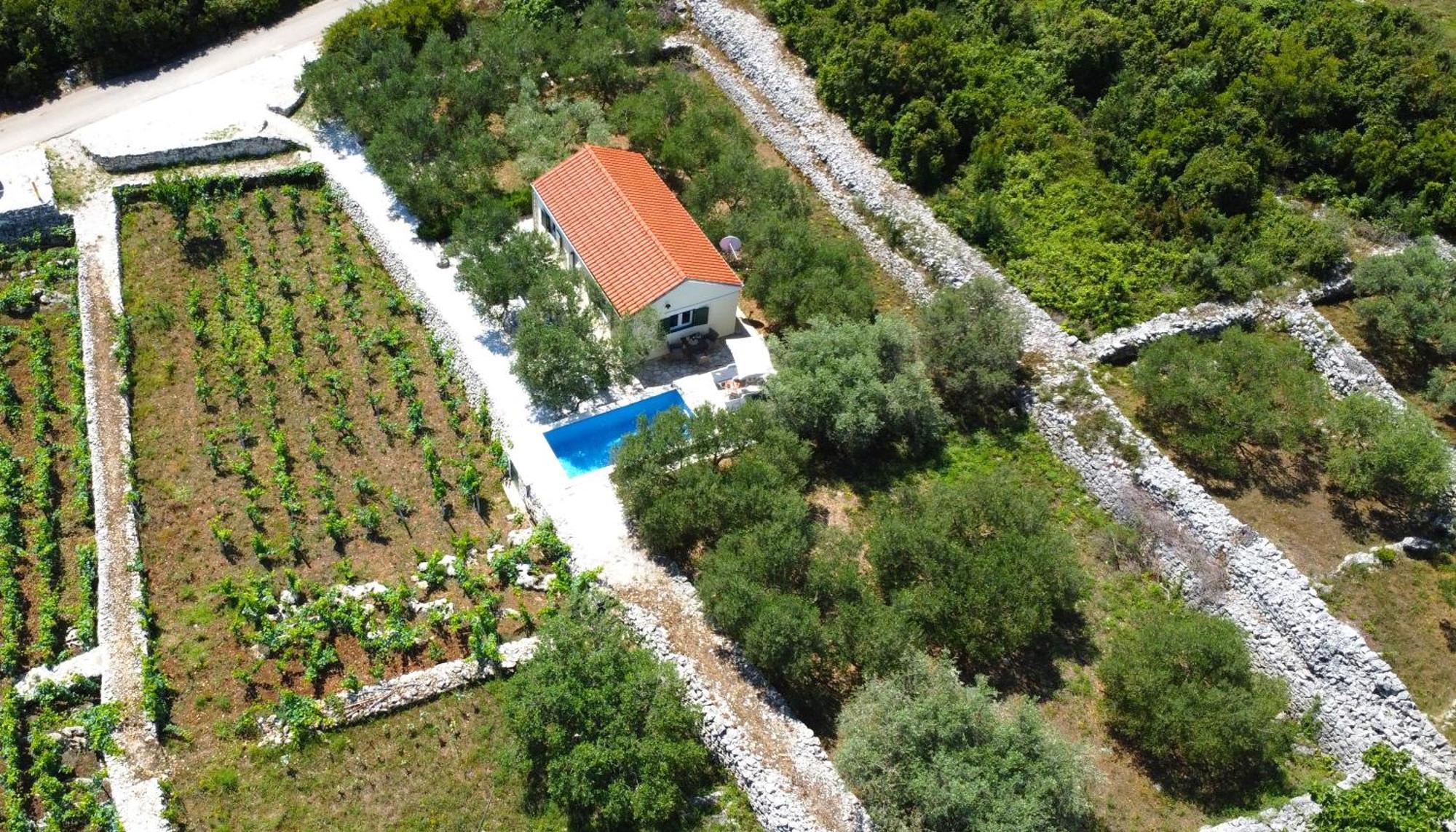 הוילה Račišće Vineyard House & Olive Grove House מראה חיצוני תמונה