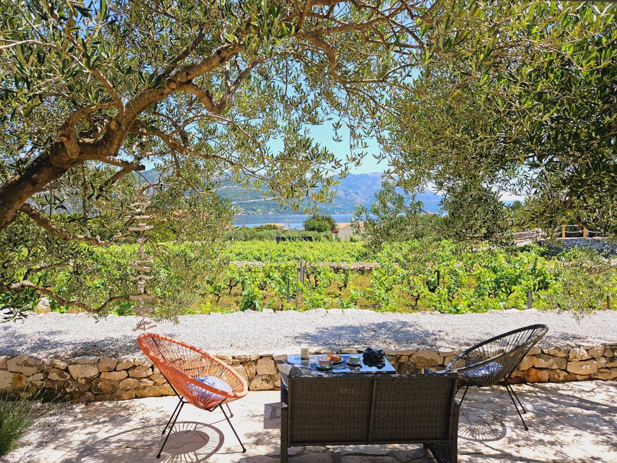 הוילה Račišće Vineyard House & Olive Grove House מראה חיצוני תמונה