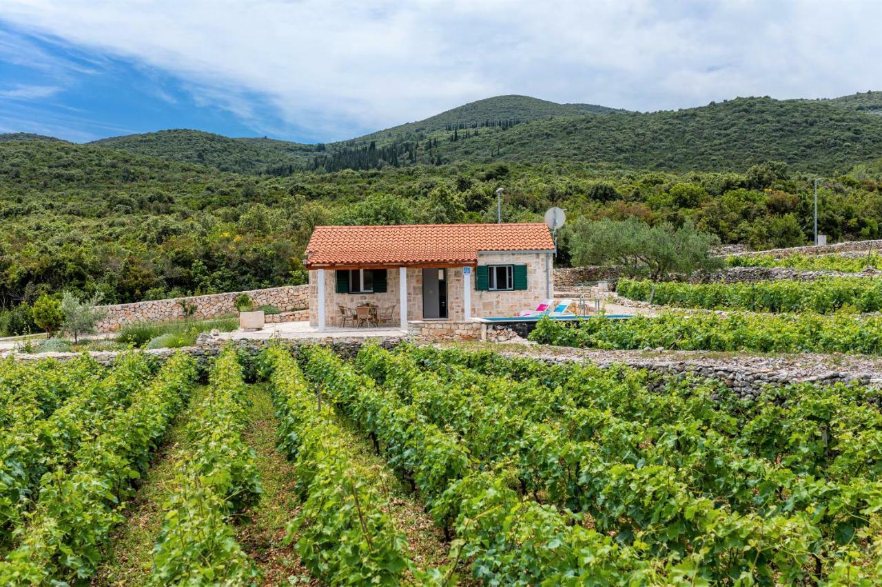 הוילה Račišće Vineyard House & Olive Grove House מראה חיצוני תמונה