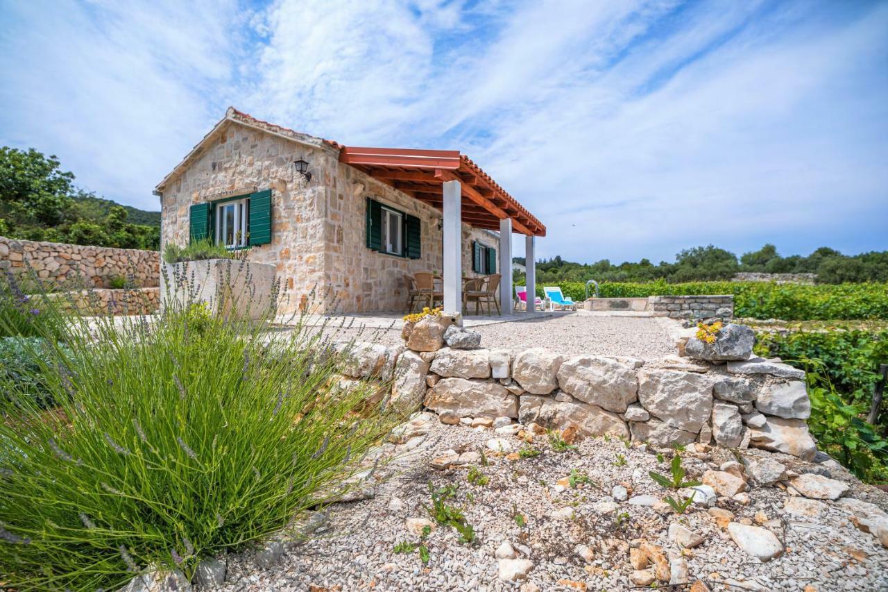 הוילה Račišće Vineyard House & Olive Grove House מראה חיצוני תמונה