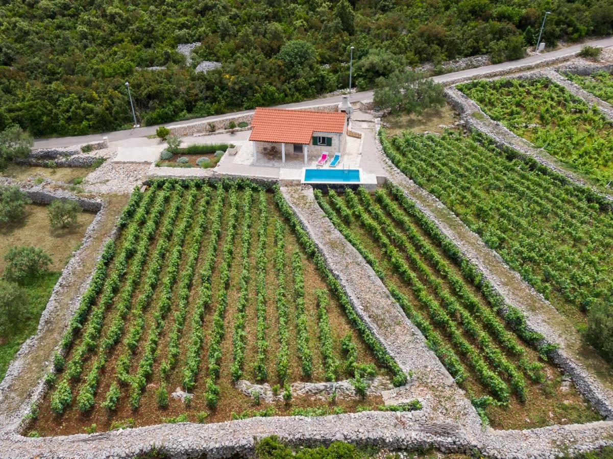 הוילה Račišće Vineyard House & Olive Grove House מראה חיצוני תמונה