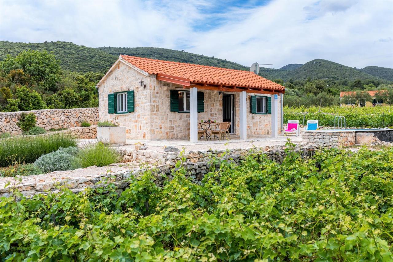 הוילה Račišće Vineyard House & Olive Grove House מראה חיצוני תמונה