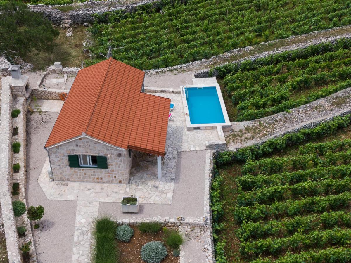 הוילה Račišće Vineyard House & Olive Grove House מראה חיצוני תמונה