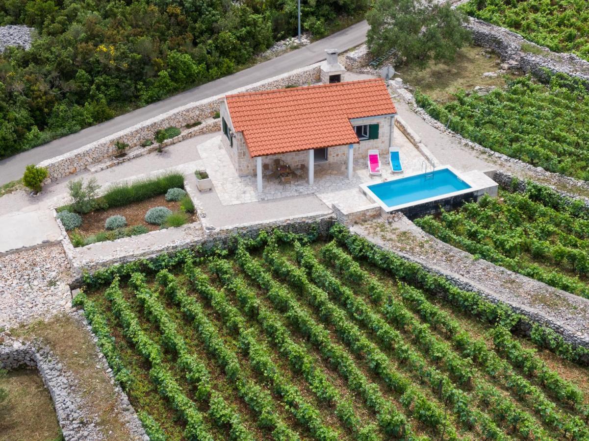הוילה Račišće Vineyard House & Olive Grove House מראה חיצוני תמונה