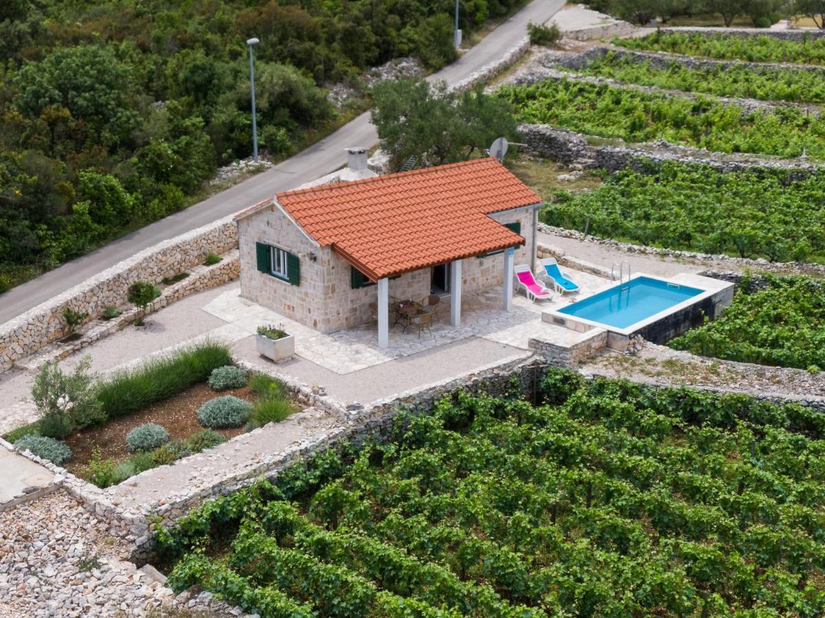 הוילה Račišće Vineyard House & Olive Grove House מראה חיצוני תמונה
